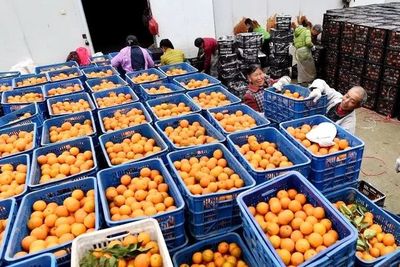 农村消费升级与渠道下沉加速下的农产品零售物流新考验