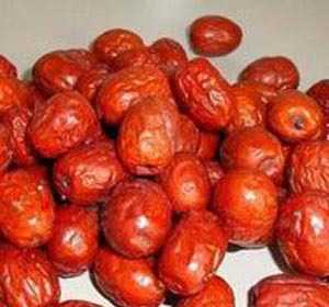 乐陵金丝小枣 齐鲁大地的甜蜜馈赠