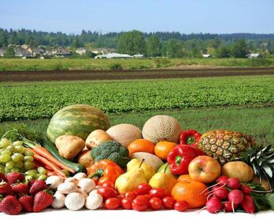 新征程 新发展 农产品电子商务异军突起，助力县域经济焕发新生机